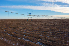 Freedom Farm International (Ukraine, Kherson region, 26500ha irrigated)