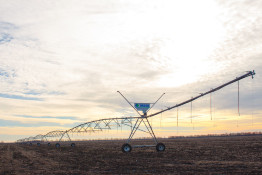 Freedom Farm International (Ukraine, Kherson region, 26500ha irrigated)