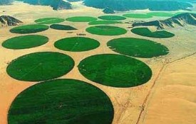Center-pivot irrigation systems move around a central pivot point, creating “crop circles” that are visible from the air.