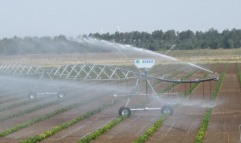 Irrigation in Action